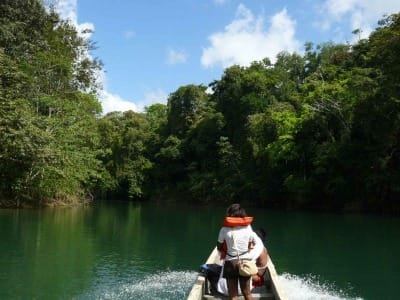 Chagres Nationalpark Panama