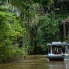 Tag 3 Bootsfahrt im Regenwald